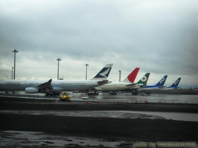 SDC11195.jpg